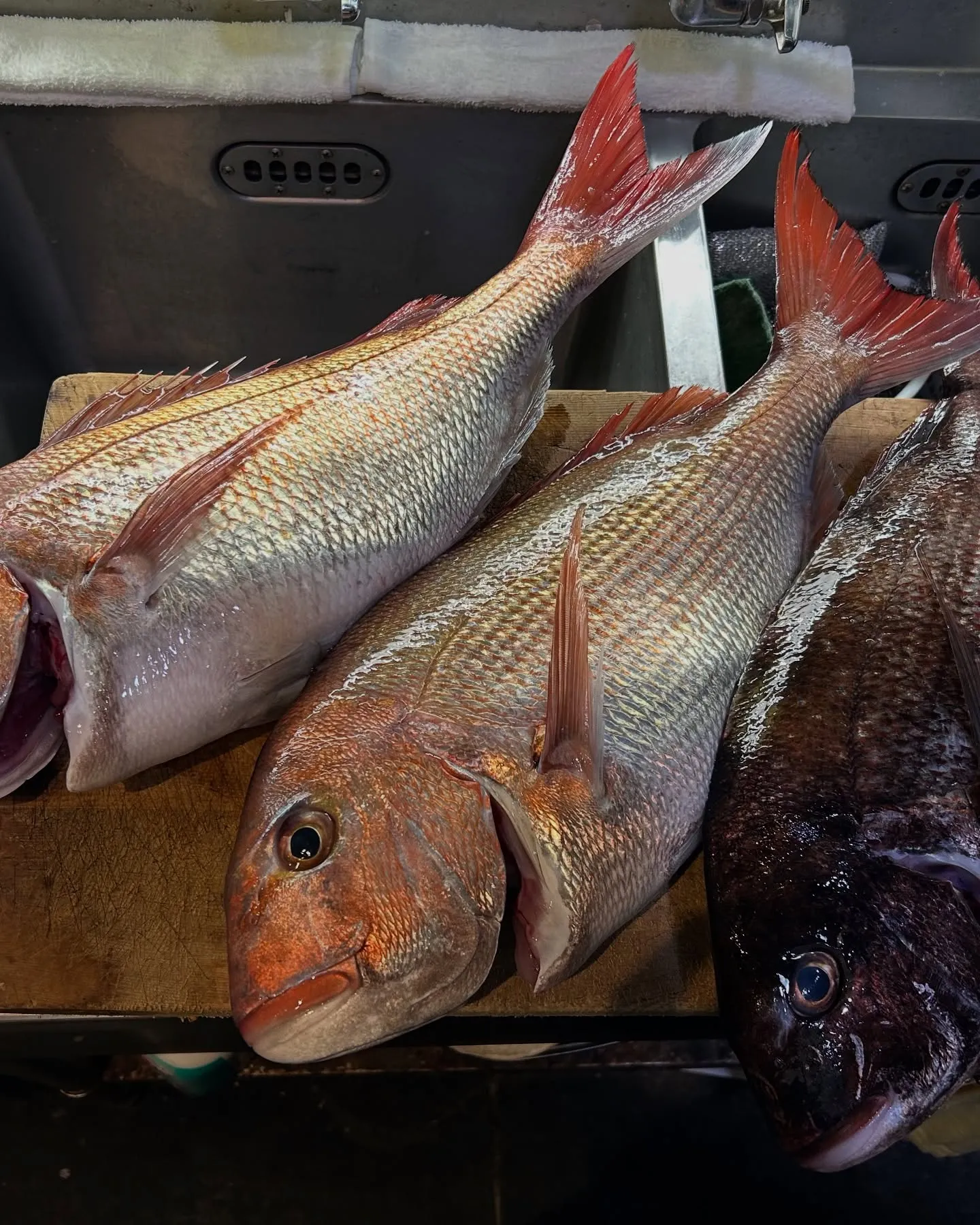 『神楽』で御座います。