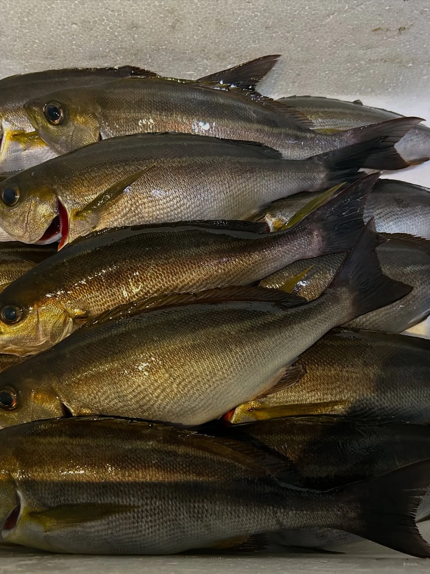 『神楽』で御座います。