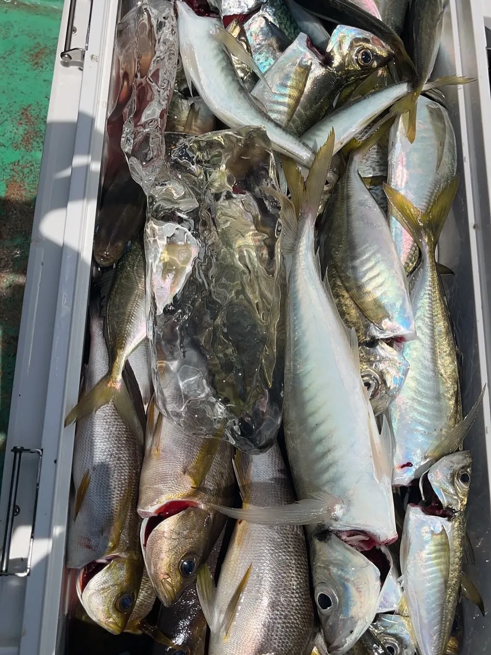 『神楽』で御座います。