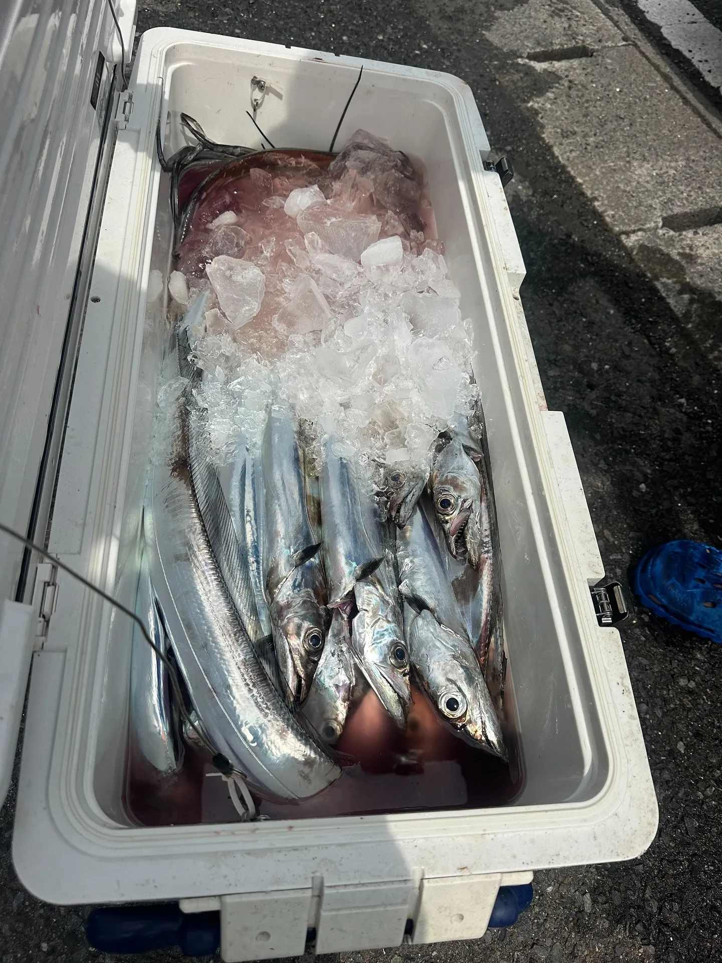 『神楽』で御座います。