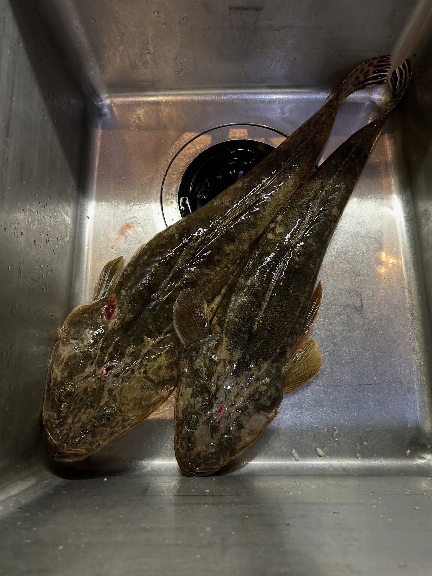 『神楽』で御座います。