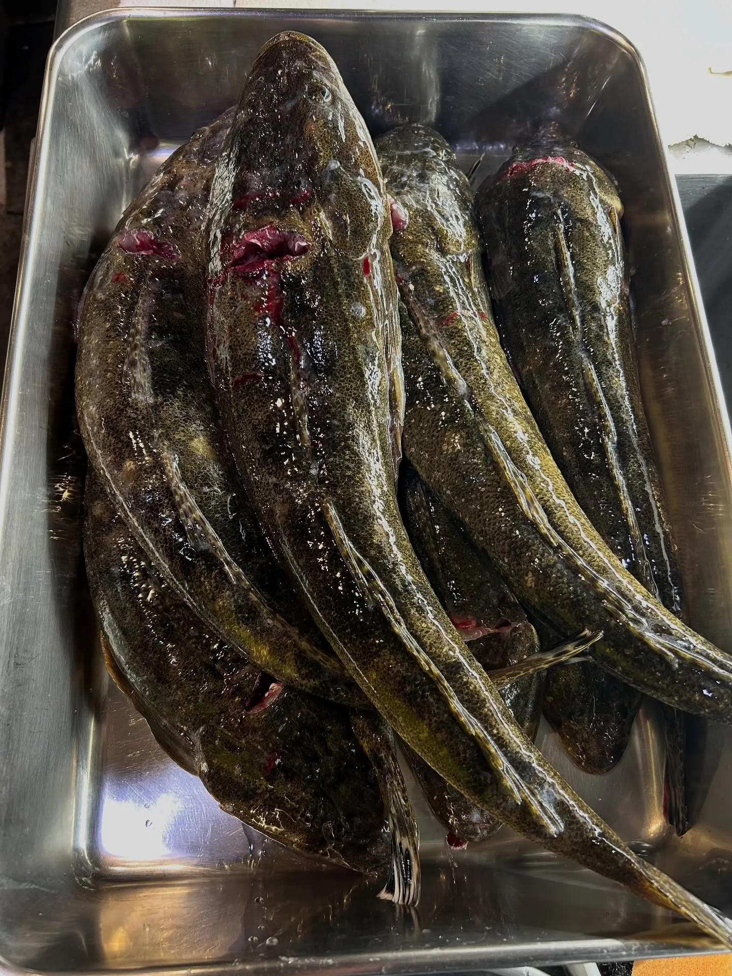 『神楽』で御座います。