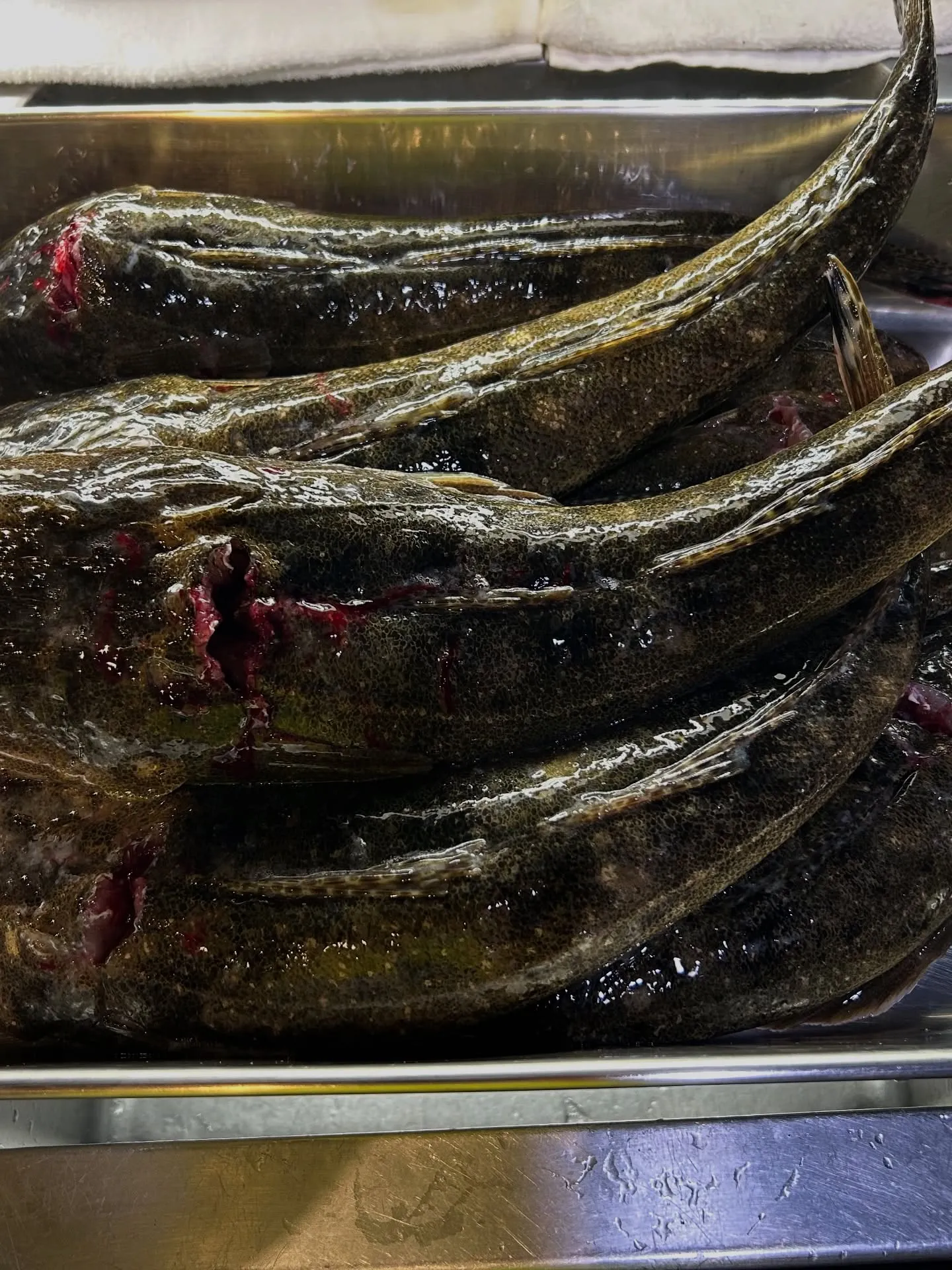 『神楽』で御座います。