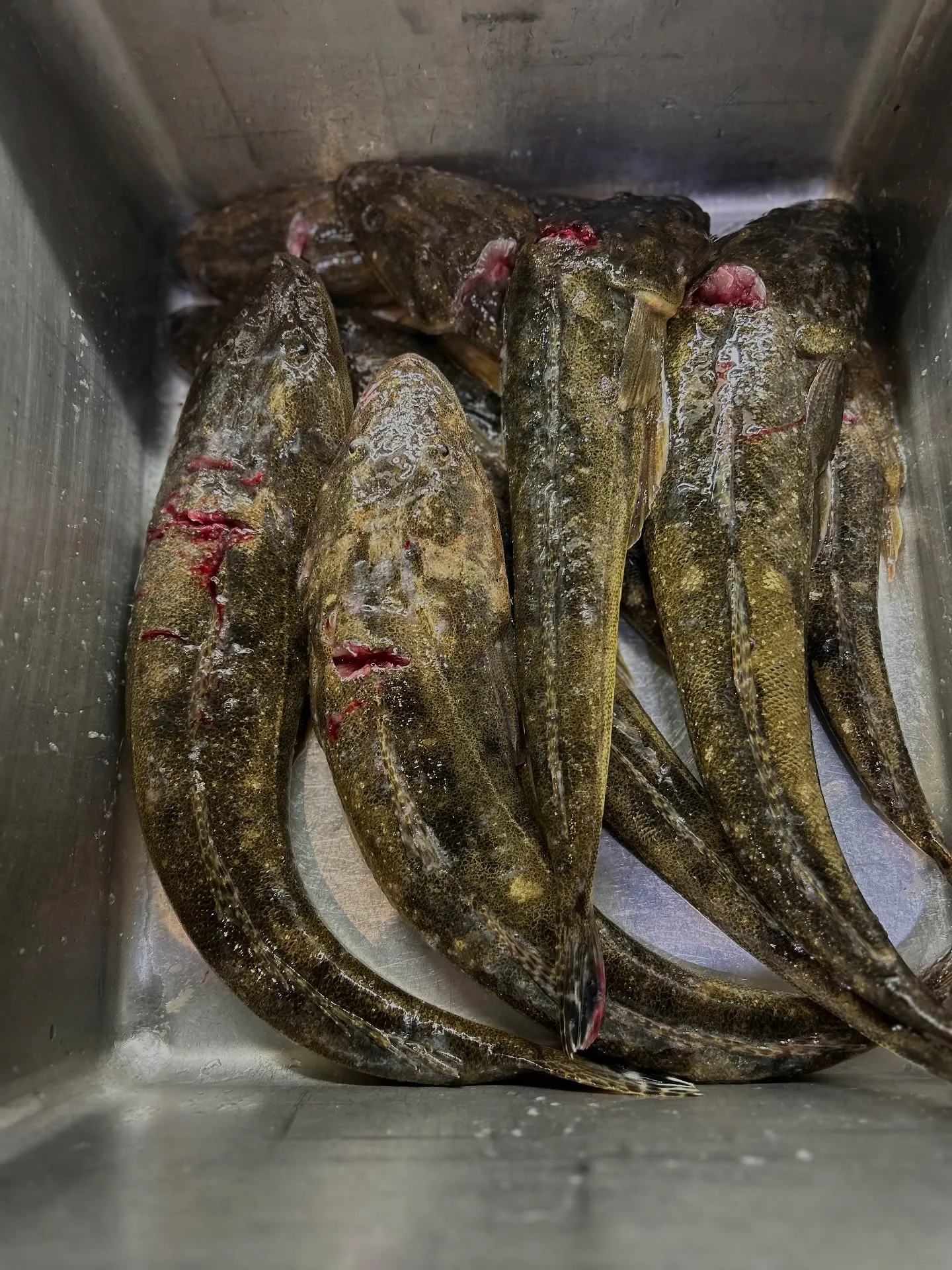 『神楽』で御座います。