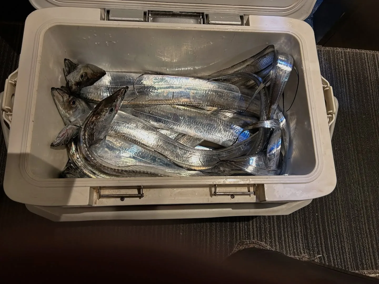 『神楽』で御座います。