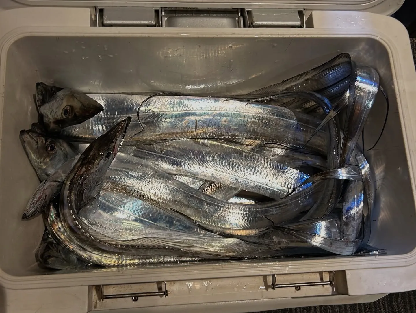 『神楽』で御座います。