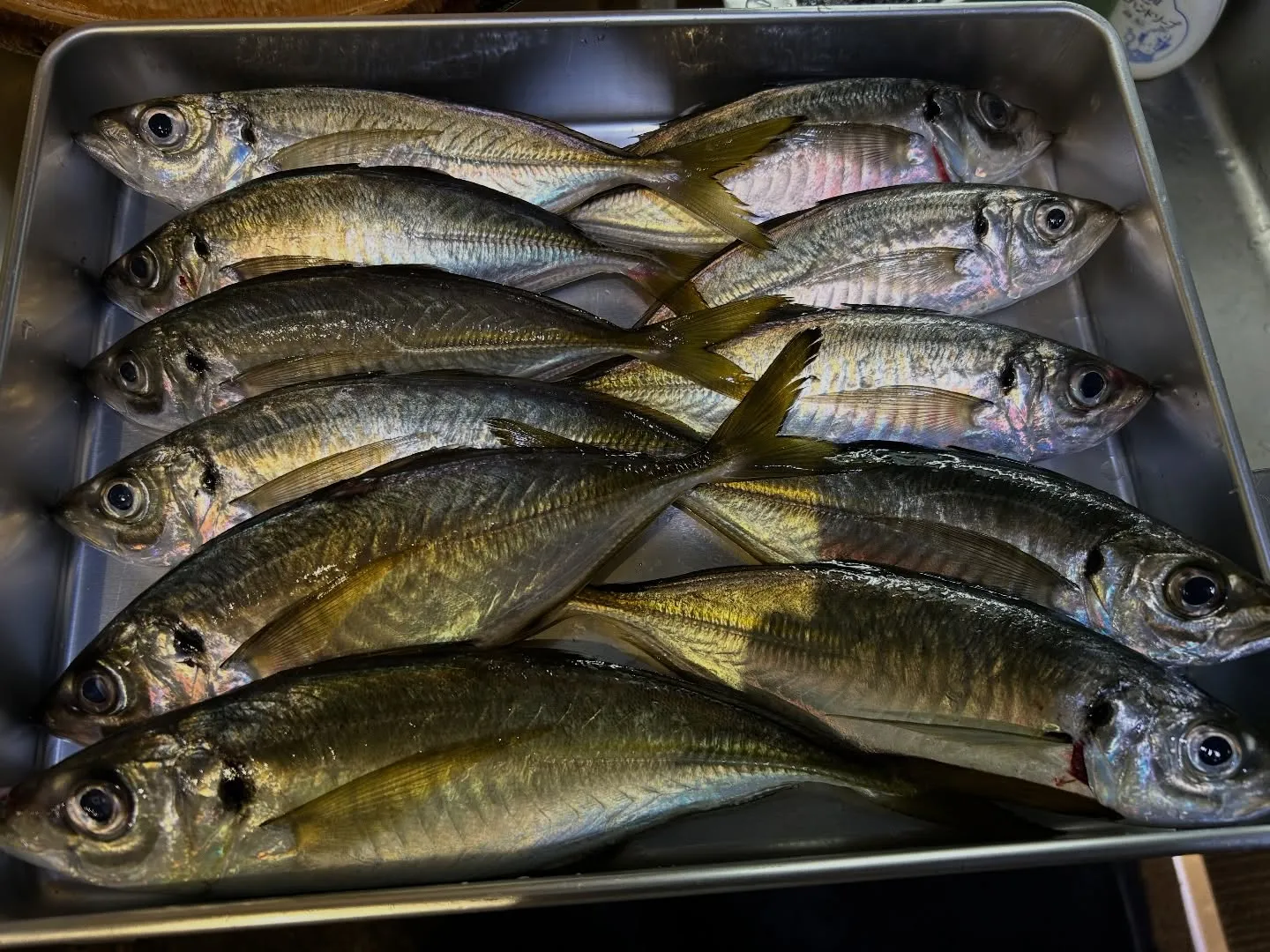 『神楽』で御座います。