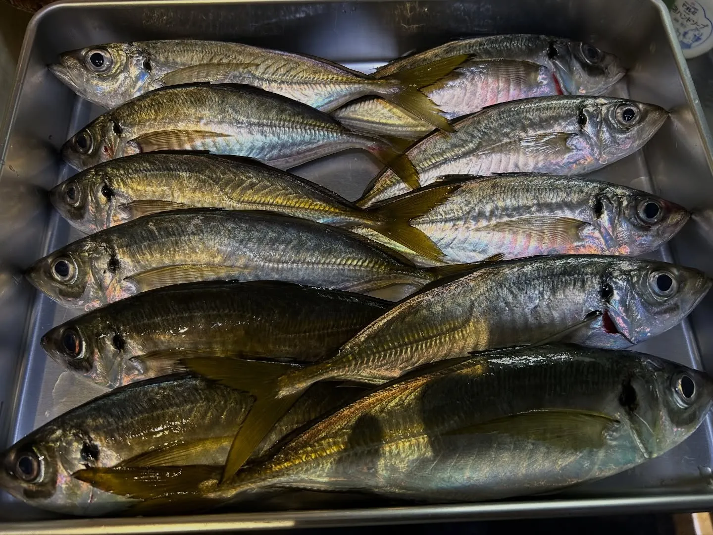『神楽』で御座います。
