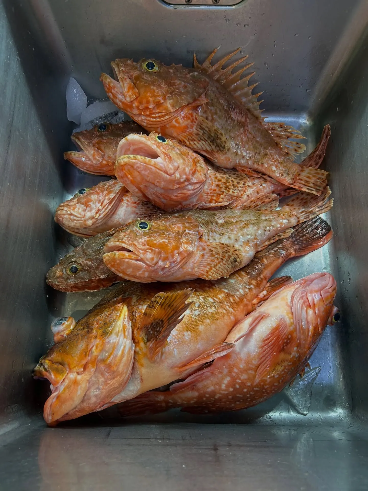 『神楽』で御座います。