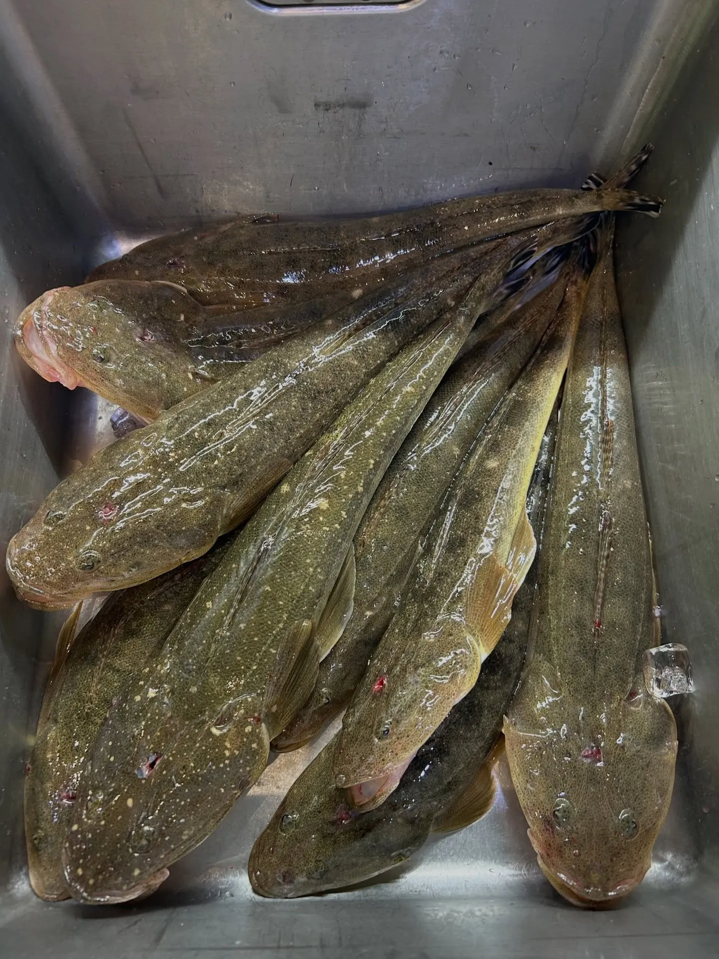 『神楽』で御座います。