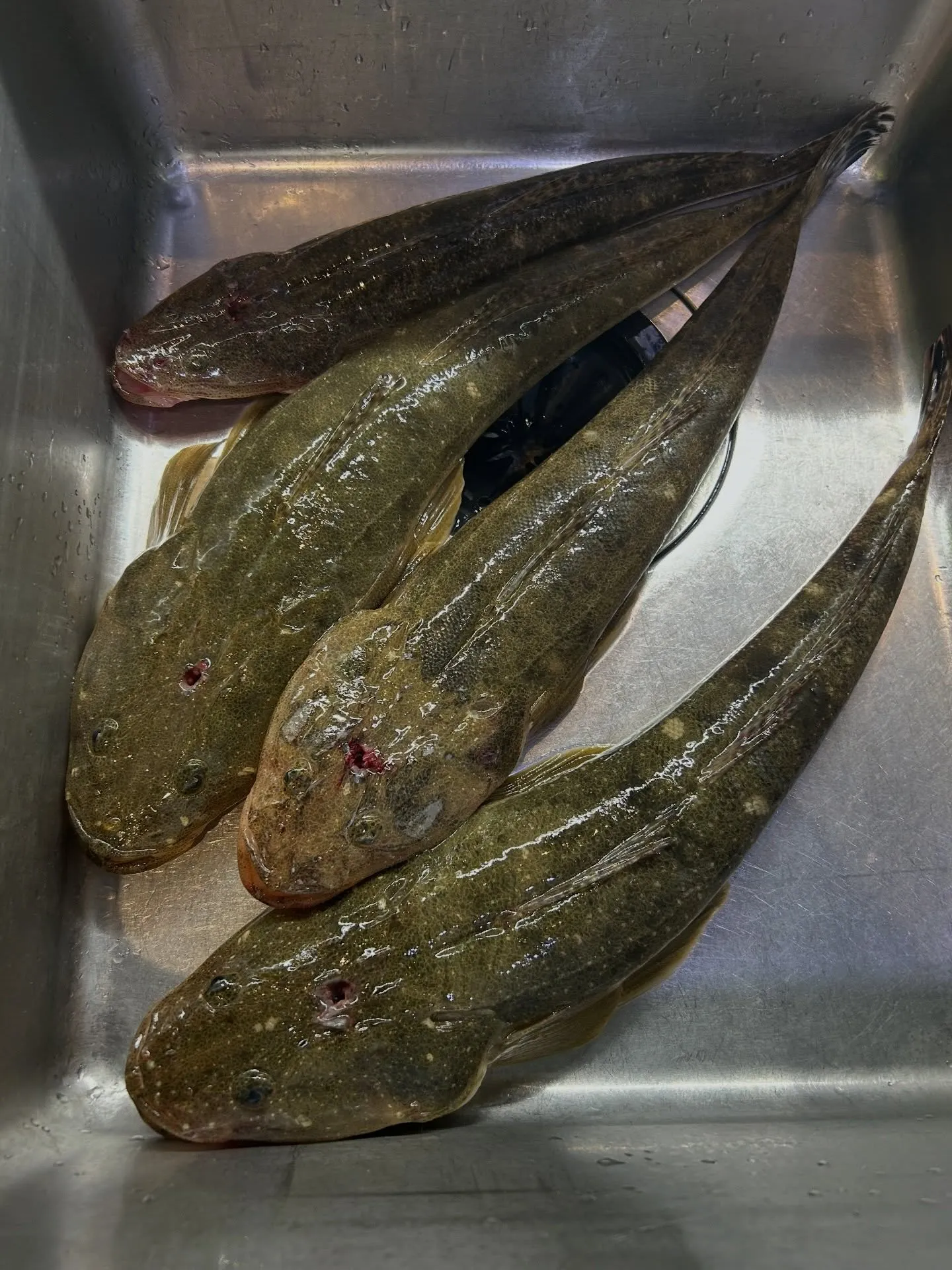 『神楽』で御座います。