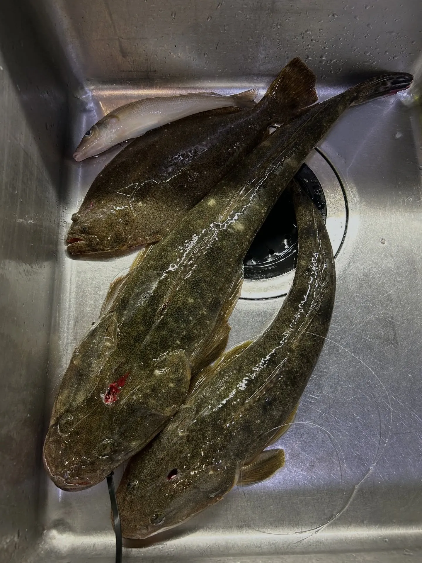 『神楽』で御座います。