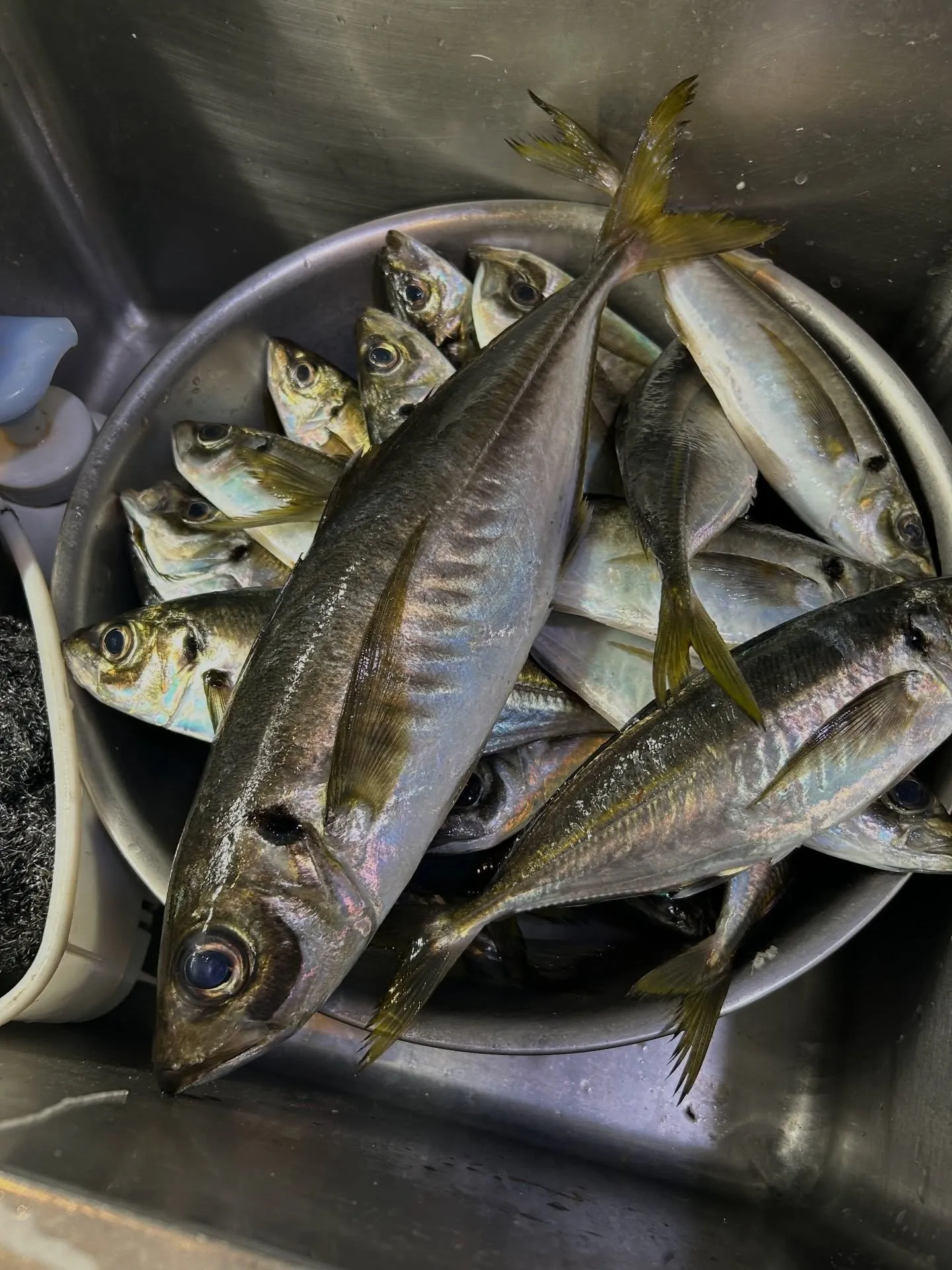 『神楽』で御座います。